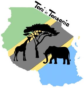 Toni in Tansania - Der Button führt zum Blog der Reisegruppe