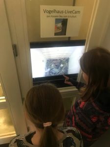 Zwei Schülerinnen beobachten das Blaumeisennest über die Webcam.